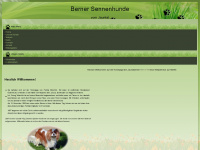 jauntalberner.at Webseite Vorschau