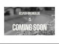 Jesper-bremer.de