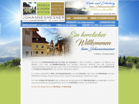 johannesmesner.at Webseite Vorschau