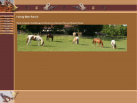 jsk-honey-bee-ranch.de Webseite Vorschau