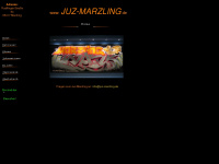 juz-marzling.de Webseite Vorschau