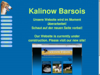 kalinow-barsois.de Webseite Vorschau