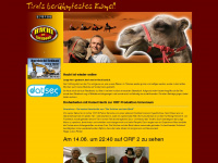 kamel-hachi-thiersee.at Thumbnail