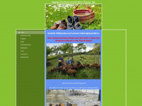 kamerunschafe-spay.de Webseite Vorschau