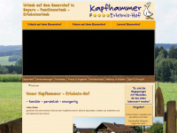 kapfhammerhof.de Thumbnail