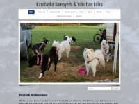 karatayka.ch Webseite Vorschau