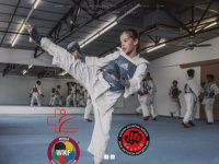 karate-wetzikon.ch Webseite Vorschau