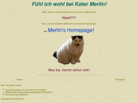 kater-merlin.de Webseite Vorschau