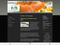 gruener-baum-chemnitz.de Webseite Vorschau
