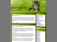 katzenfreunde-blog.de Webseite Vorschau