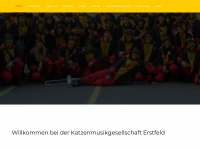 Katzenmusik-erstfeld.ch