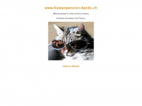 katzenpension-apollo.ch Webseite Vorschau