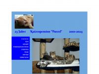 katzenpension-purzel.de Webseite Vorschau