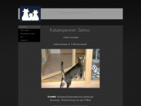 katzenpension-selma.de Webseite Vorschau