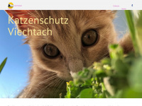 katzenschutz-viechtach.de Webseite Vorschau