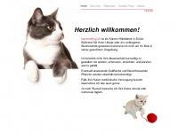 katzensitting.ch Webseite Vorschau