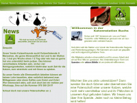 katzenstation-buchs.ch Webseite Vorschau