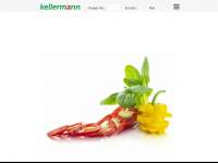 kellermann.ch Webseite Vorschau