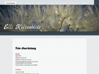 keltenblitz.de Webseite Vorschau