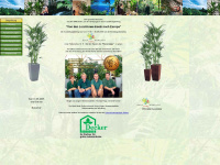 kentia-palme.de Webseite Vorschau