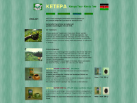ketepa.de Webseite Vorschau