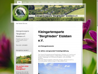 Kgv-bergfrieden.de