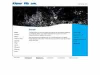 kienerfils.ch Webseite Vorschau