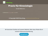 kine-kueng.ch Webseite Vorschau