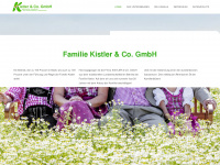 kistler-gmbh.de Webseite Vorschau
