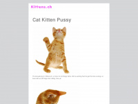 kittens.ch Webseite Vorschau