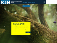 kjm-zh.ch Webseite Vorschau