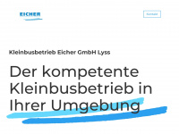 kleinbusse.ch Webseite Vorschau