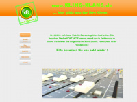 kling-klang.de Webseite Vorschau