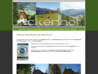 knaus-ackerl.at Webseite Vorschau