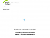 knut-krueger.de Webseite Vorschau