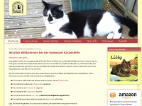 Koblenzer-katzenhilfe.de
