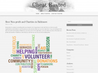 cheatbusted.com Webseite Vorschau