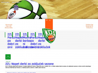 kosbasket.at Webseite Vorschau