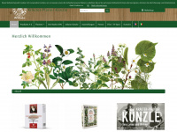 kp-kuenzle.ch Webseite Vorschau