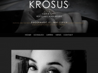kroesus.ch Webseite Vorschau