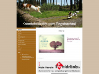 kromi-achenbach.jimdo.com Thumbnail