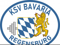 ksv-bavaria.de Webseite Vorschau