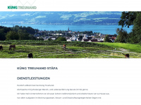 kueng-treuhand.ch Webseite Vorschau
