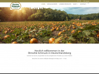 kuerbishof-schmuck.at Webseite Vorschau