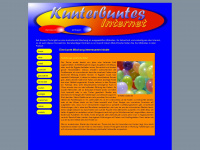 kunterbuntes-internet.de Webseite Vorschau