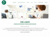 laborlinz.at Webseite Vorschau