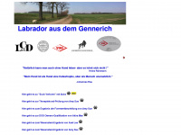 labrador-gennerich.de Webseite Vorschau