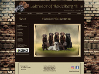 labrador-of-heidelberg-hills.de Thumbnail
