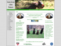labrador-zucht.at Webseite Vorschau