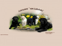 Labradore-vom-wehrholz.de